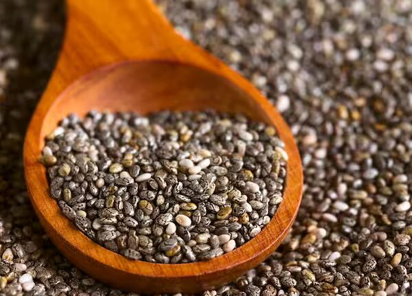 chia seed 100g