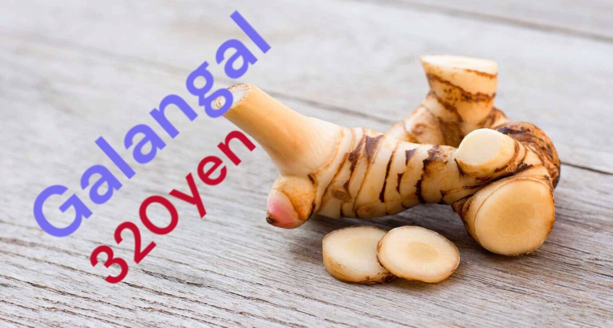 Galangal - Image 1