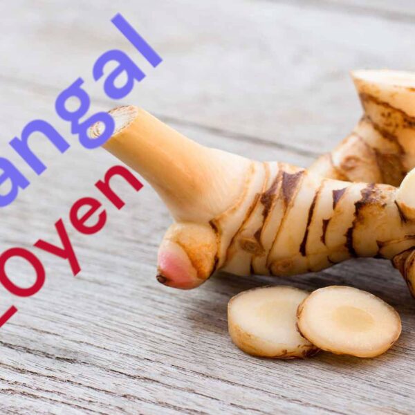 Galangal