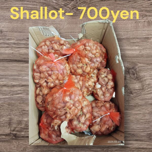 Shallot