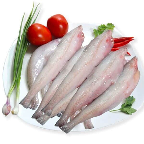 Loitta Fish 500g