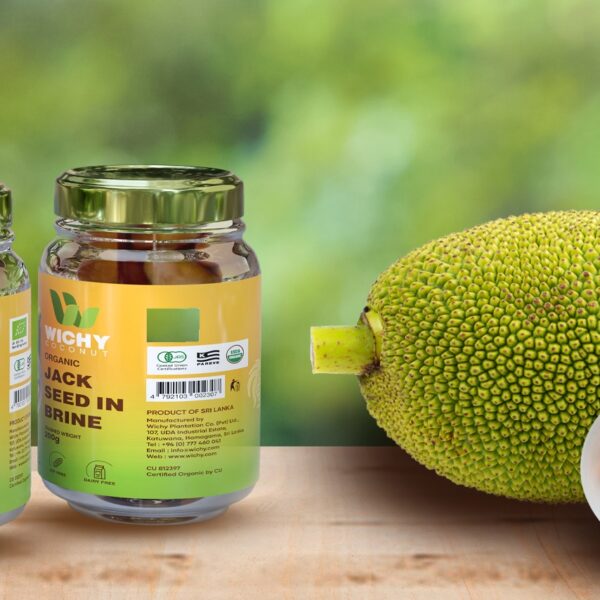 Jackfruit Seed In Brine 560g