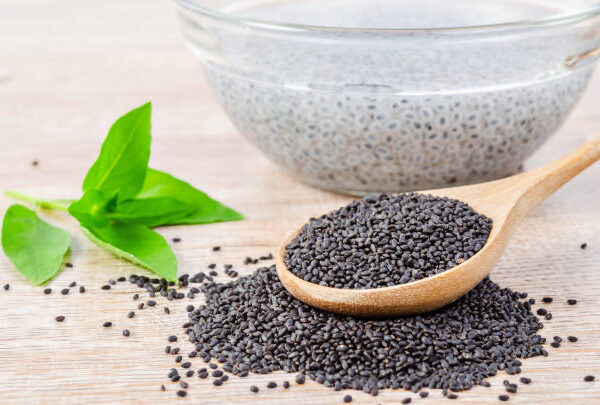 Sweet Basil Seed 50g