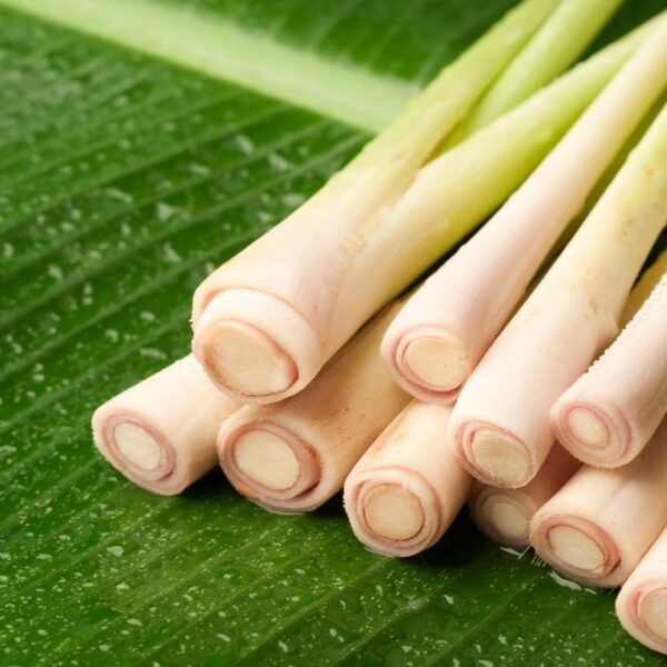 Lemon Grass 200g