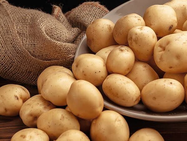 Potato 1kg