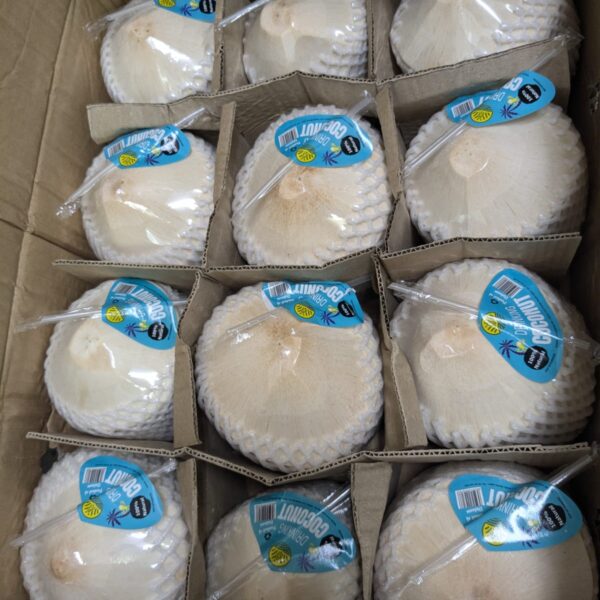 Coconut 1 piece
