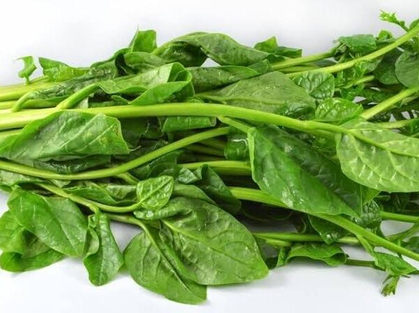 Pui Shak 500g