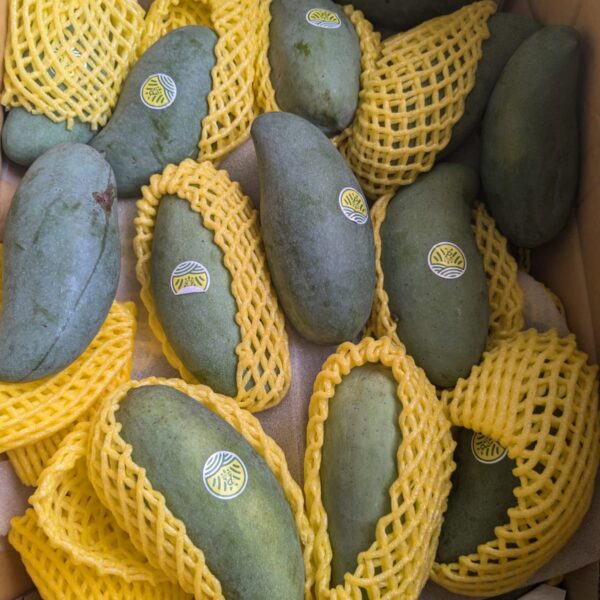 Green mango sweet 1kg