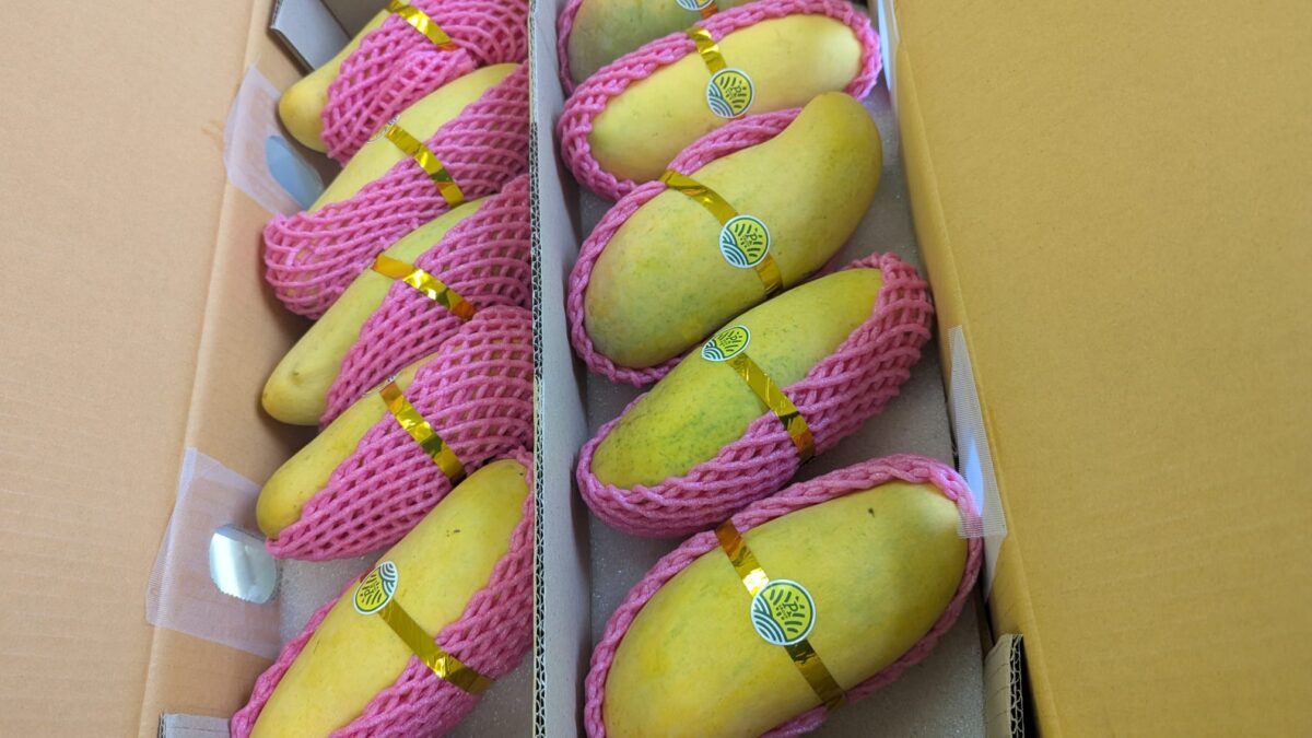 Ripe mango 1kg - Image 1