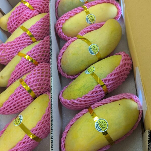 Ripe mango 1kg