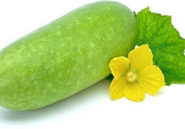 Chal kumra 1 piece (wax gourd)
