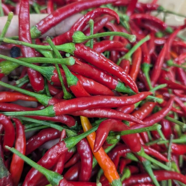 Red Chilli 100g Garden Fresh