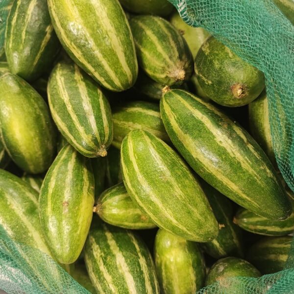 Fresh Potol 500G(pointed gourd)