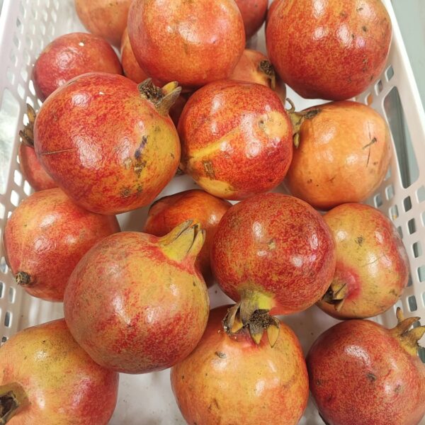Pomegranate 500G (Anar)