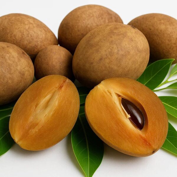 Sofeda(Sapodilla) 500g(Garden Fresh)