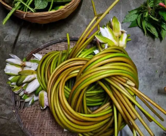 5a1be50e90c7cfbecda37910138ce7de-66fb758a72748 Shapla Fresh 500g (Lily) - Image 1