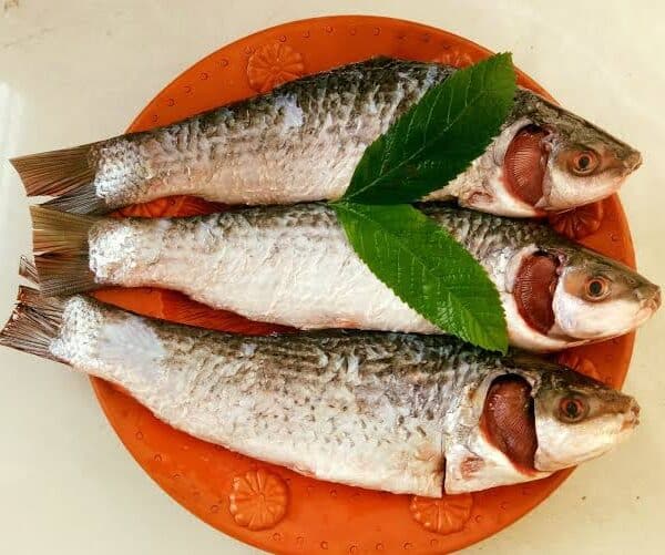 Nola Fish 500G Block