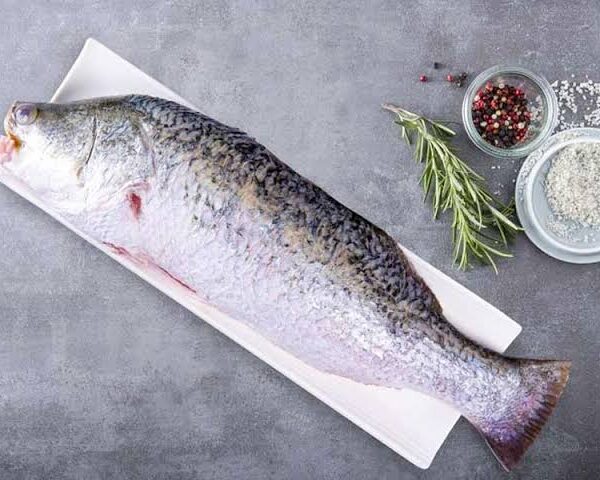 Small Koral Fish 500G