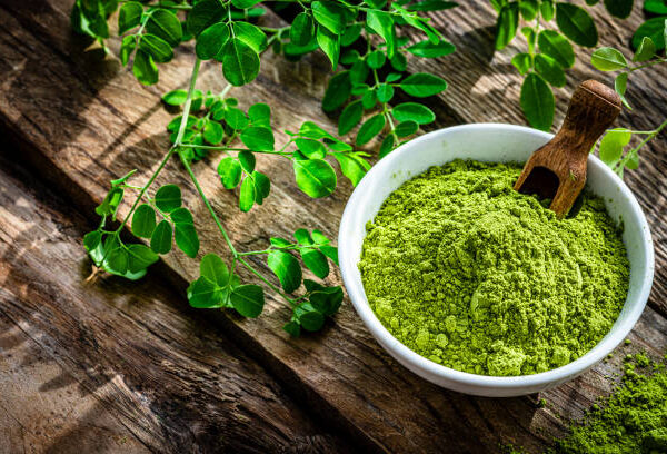 Moringa powder 100g (sajna)
