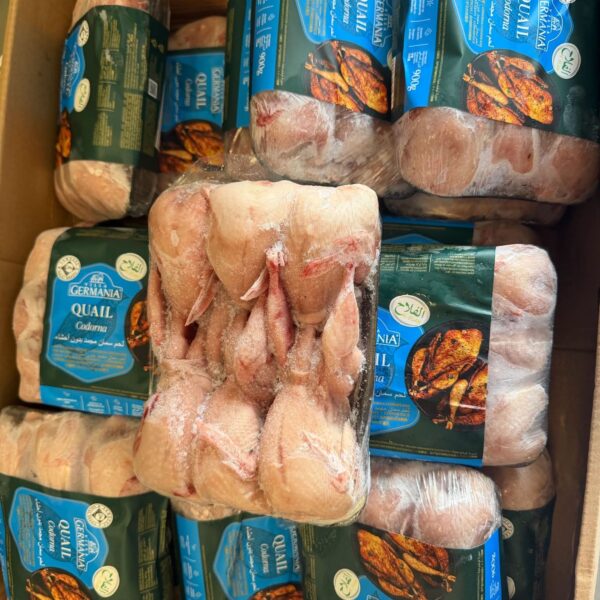 Quail Bird 900g Pack(6p bird)